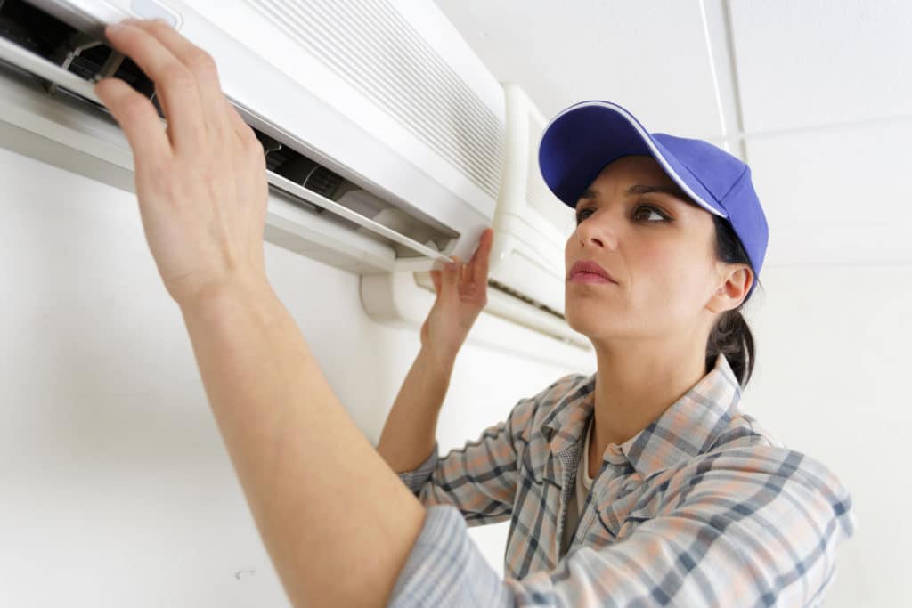 HP Cleaner Female